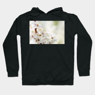 White cherry flowers Hoodie